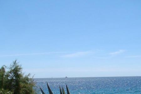 House Two Cypresses photo 5