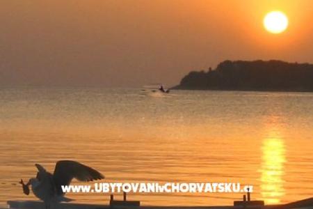 Maxi Apartment photo 4