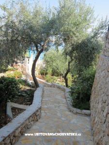 Mezaroca Apartments photo 4