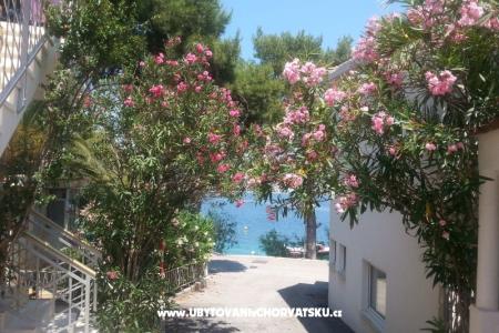 Vacation house Milenka photo 4