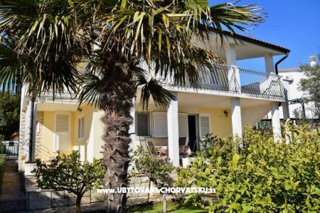 Oliva Ražanj photo 2