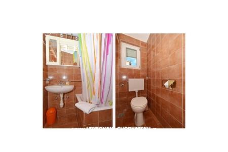 Apartments Renata photo 5