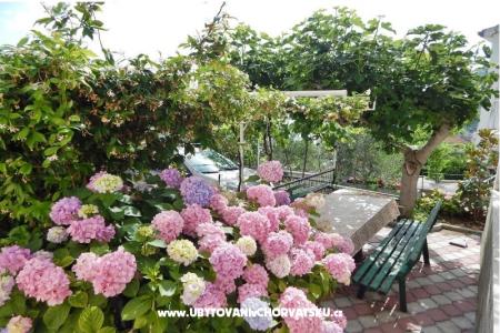 Villa Vuckovic photo 4