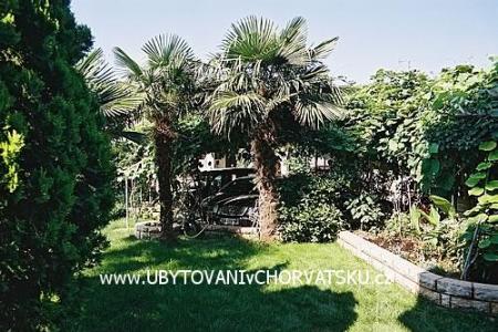 Apartments BOS-KO photo 3