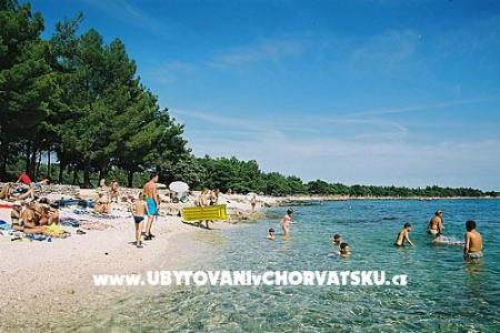 Family House Ivancevic photo 5