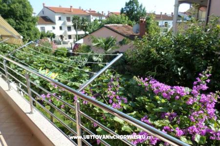 Apartments Kamelia photo 3