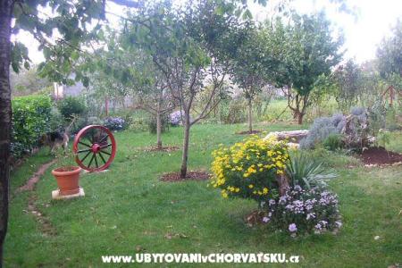Vila Kristina photo 4