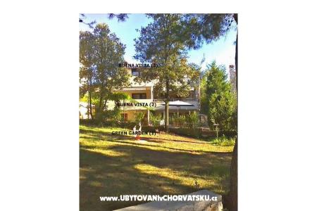 GREEN GARDEN &amp; BUENA VISTA  photo 2