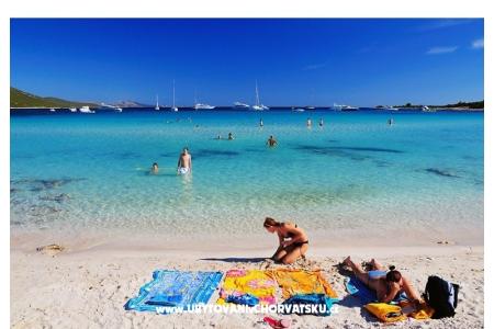 Apartments Marija photo 4