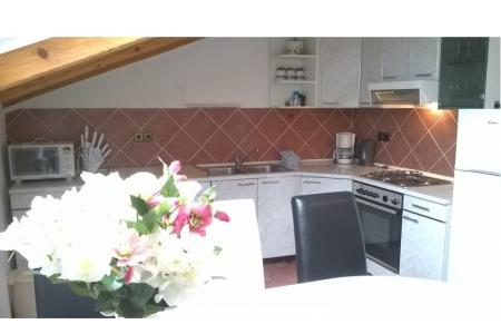 Apartments Ruža photo 3