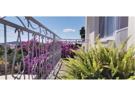 Apartment Mare photo 2