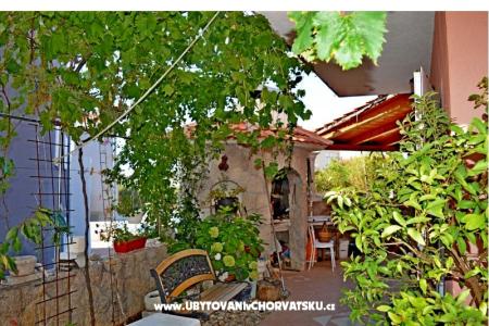 Apartments Ivanka photo 4