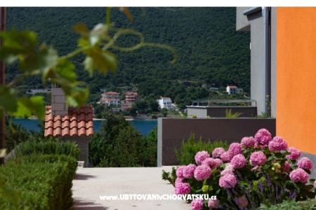 Apartments Timbar photo 3