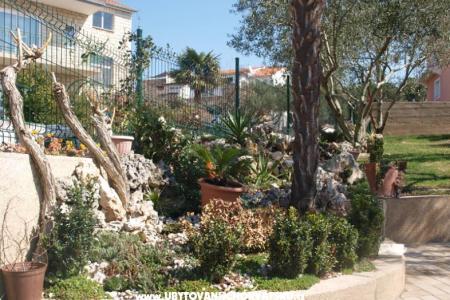 Apartments Žepina photo 4