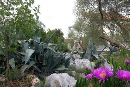 Apartments Vlado photo 4