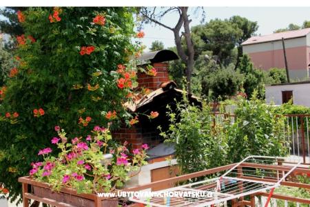 Apartments Marija i Toni photo 4