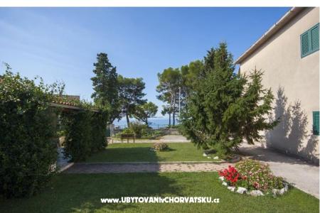 Venesa Apartments photo 2