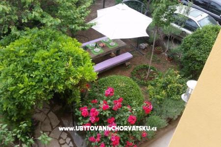 Vila Arboretum Šibenik photo 3