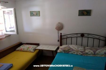 ZATONKA photo 3