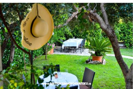 Apartments CURIĆ photo 4