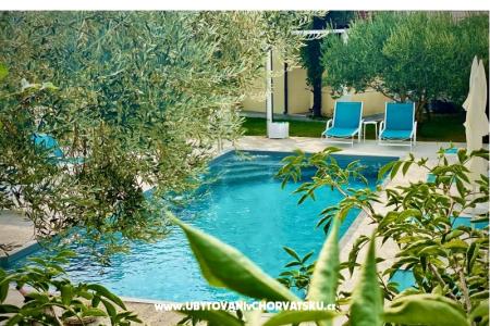 Villa Dube Slano/ villa with pool photo 4
