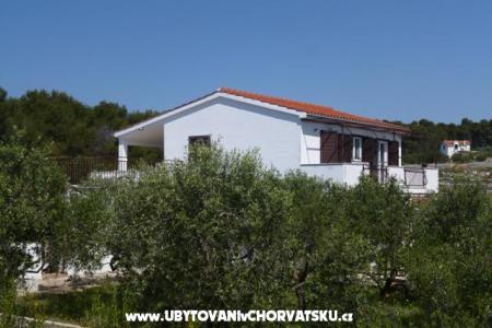 Apartments Oliva - Otok Šolta photo 2