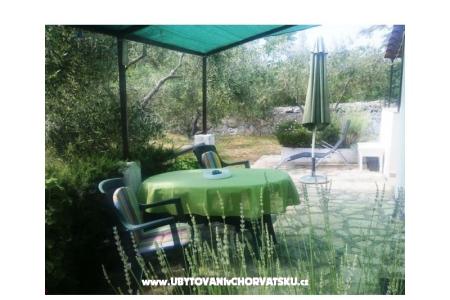 Apartments Oliva - Otok Šolta photo 3