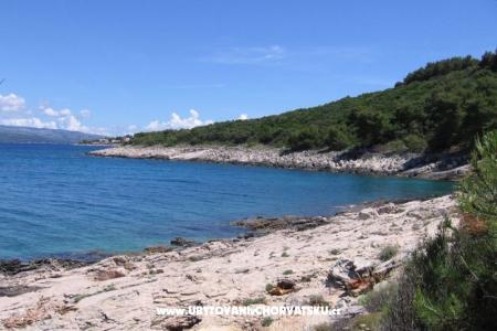 Vacation house Villa Marijeta photo 3