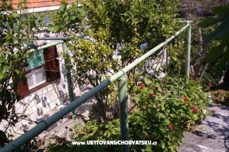 Vacation house Villa Marijeta photo 4