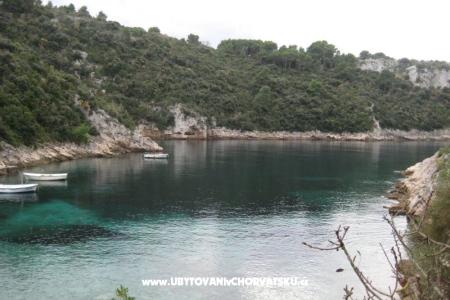 Villa Marija photo 5