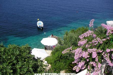 Villa Nell photo 2