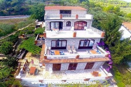 Villa Palmira photo 2