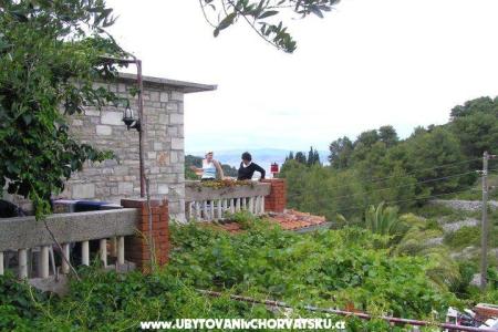 Villa Palmira photo 3