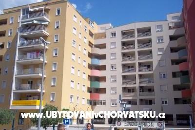 Apartment Ase photo 4