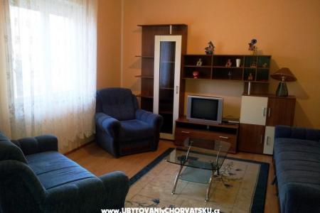 Apartment Ribicic photo 4