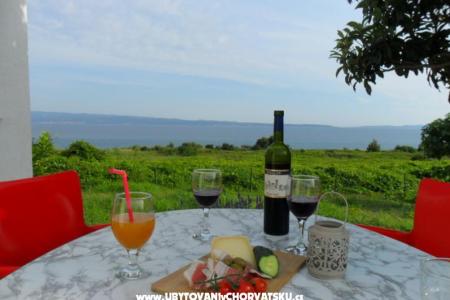 Summerhouse Belomo photo 4