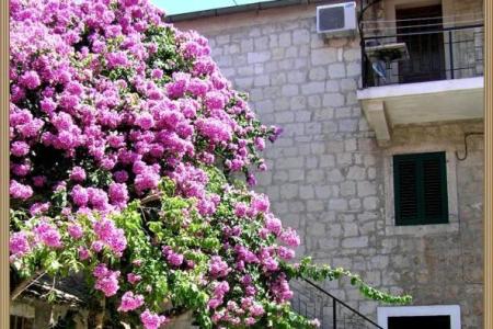 Stress Out Apartment photo 2