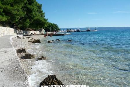 Whole house &amp; garden only for you photo 2