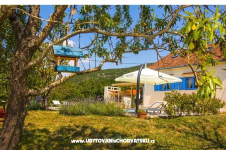 Villa Romansa- 22 km from Split photo 4