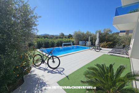 Villa Maestro photo 3