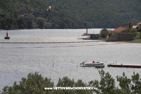 Apartment Ivana photo 3