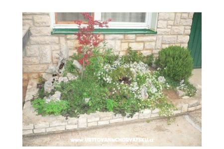 Vacation house Goga photo 4