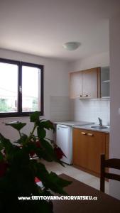 Apartments Ivana photo 4