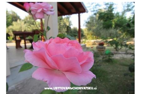 Vacation house Dević photo 2