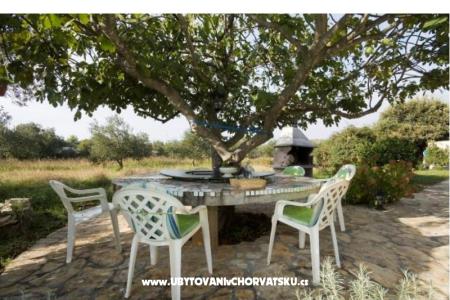 Villa Laura photo 4