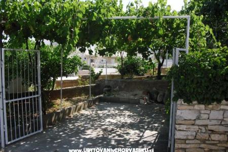 Apartments Vinka photo 3
