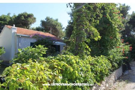 Villa Dragan photo 3