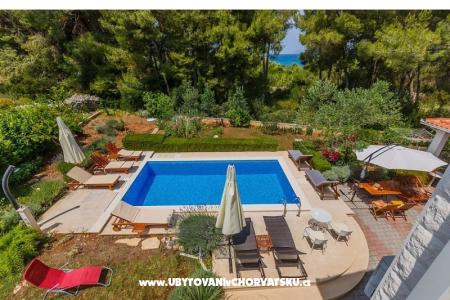 Villa Kamenica photo 3