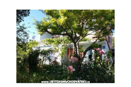 Apartmentt Anđelić photo 2