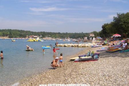 Apartments Roviš photo 2